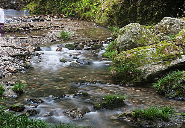 石台大山富硒村农家乐